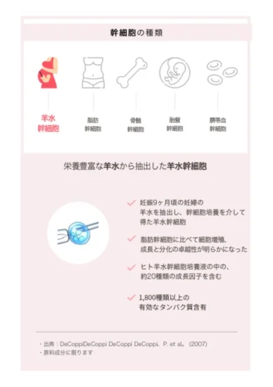 bravity（ブラビティ）ダーマ ステムセル 35プログラム｜TOTAL BEAUTY  